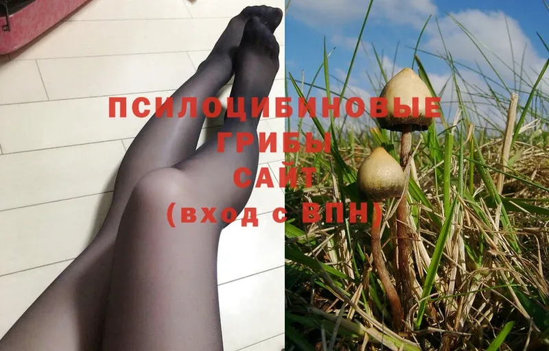 Псилоцибиновые грибы MAGIC MUSHROOMS  магазин продажи наркотиков  shop какой сайт  Еманжелинск 